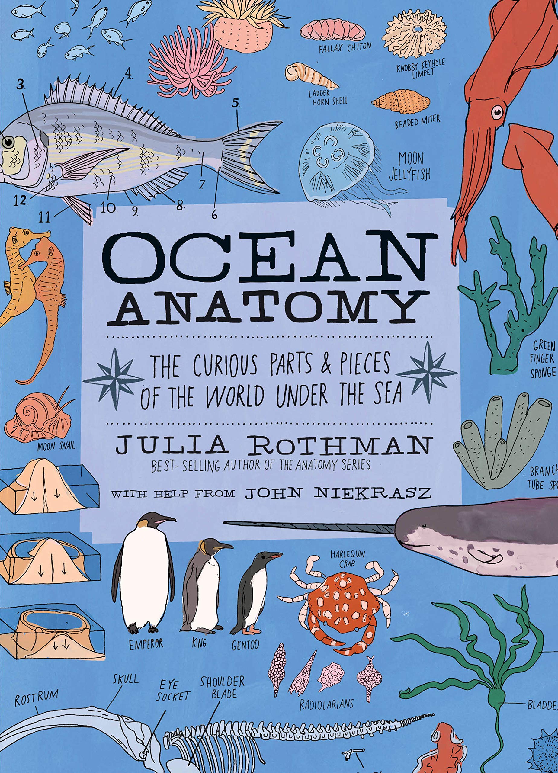 洋書 The Julia Rothman Collection The Julia Rothman Collection: Farm Anatomy, Nature Anatomy, and